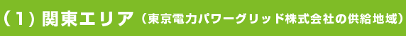 関東エリア（東京電力パワーグリッド株式会社の供給地域）