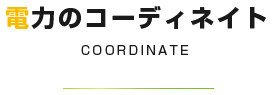 電力のコーディネイト